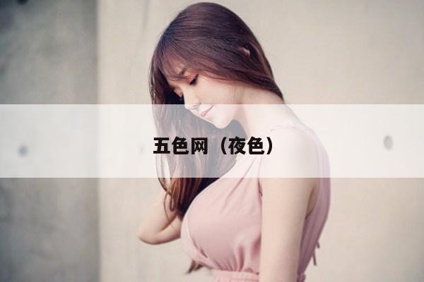 五色网(夜色)