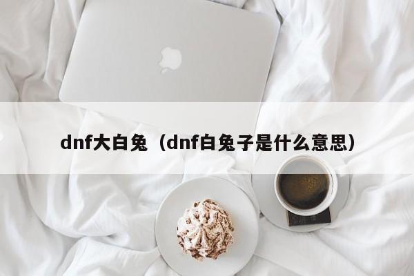dnf大白兔(dnf白兔子是什么意思)