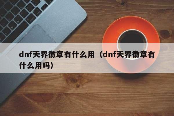 dnf天界徽章有什么用（dnf天界徽章有什么用吗）