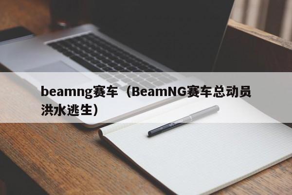 beamng赛车（BeamNG赛车总动员洪水逃生）