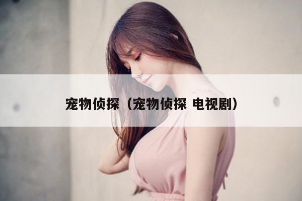 宠物侦探（宠物侦探 电视剧）