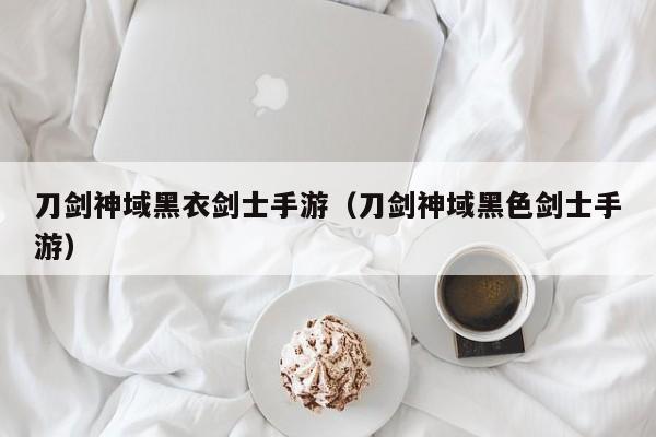 刀剑神域黑衣剑士手游（刀剑神域黑色剑士手游）