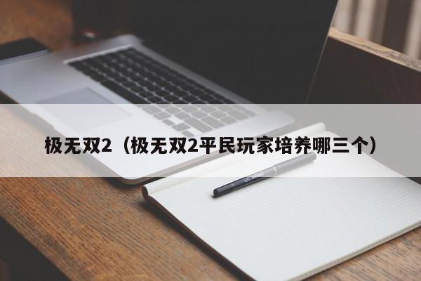 极无双2(极无双2平民玩家培养哪三个)