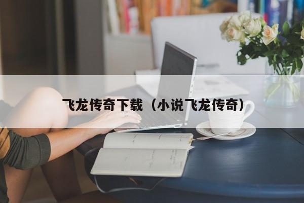 飞龙传奇下载（小说飞龙传奇）